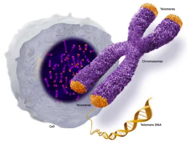 Γενετιστής του Χάρβαρντ λέει πως ανακάλυψε το μυστικό της νιότης